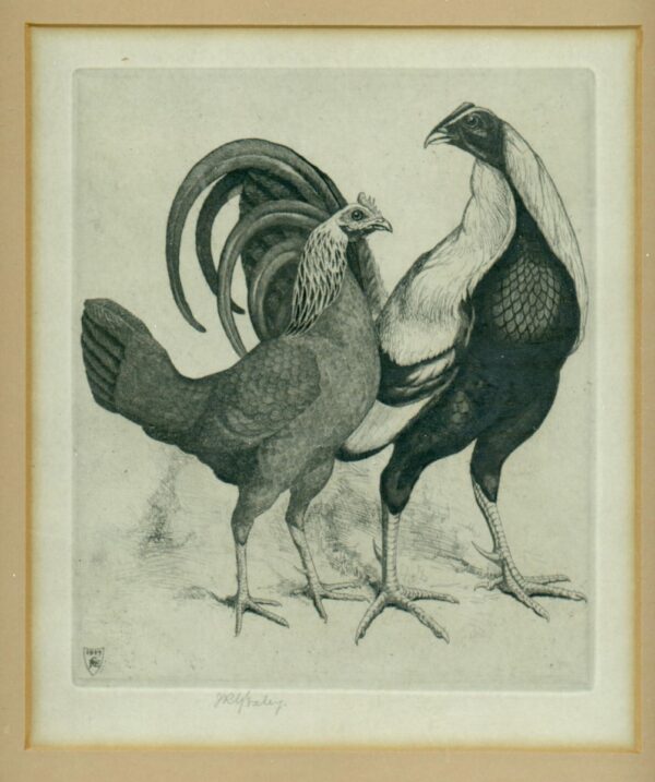 Print of Game Fowl by J R G Exley Exley Antique Prints 3