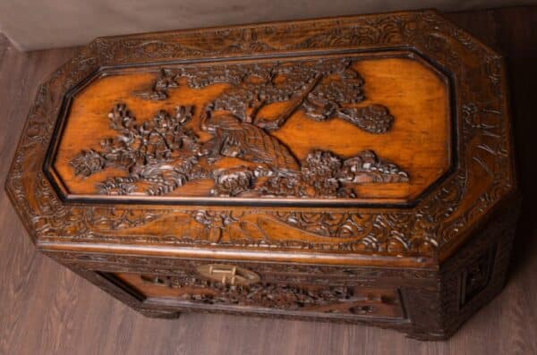Unusual Shaped Chinese Carved Camphor Wood Chest SAI1629 Antique Furniture 5
