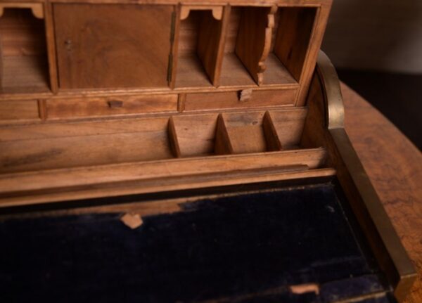 19th Century Camphor Wood Tambour Top Writing Box SAI1317 - Image 9