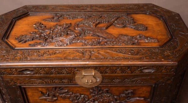 Unusual Shaped Chinese Carved Camphor Wood Chest SAI1629 Antique Furniture 15