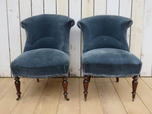 Pair Antique French Tub Chairs armchairs Antique Chairs 4