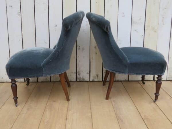 Pair Antique French Tub Chairs armchairs Antique Chairs 7