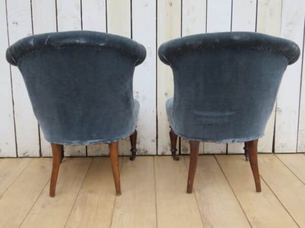 Pair Antique French Tub Chairs armchairs Antique Chairs 9