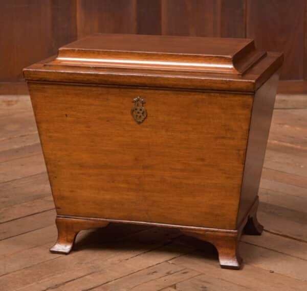 Edwardian Mahogany Sarcophagus Coal Box SAI2701 Miscellaneous 3