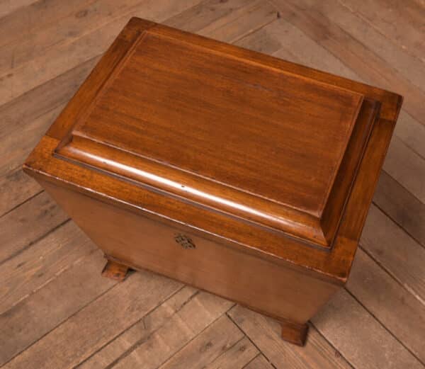 Edwardian Mahogany Sarcophagus Coal Box SAI2701 Miscellaneous 5