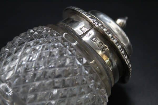 Georgian Silver Glass Mustard Pot Antique Silver 6