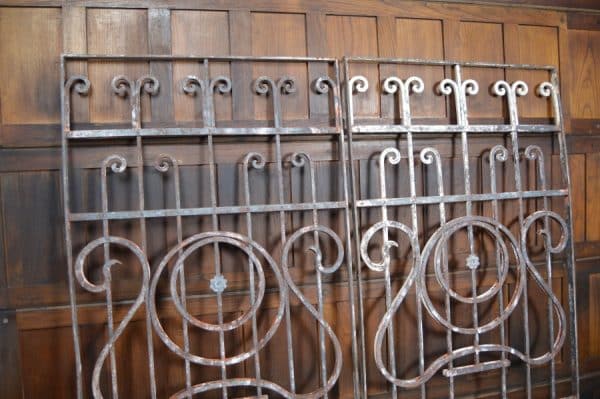 Wrought Iron Panels/ Gates SAI2929 Miscellaneous 12