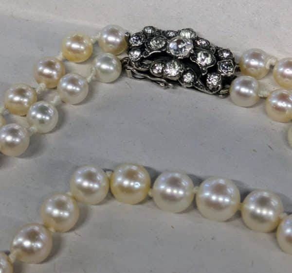 1950s Sea Pearls - Image 3