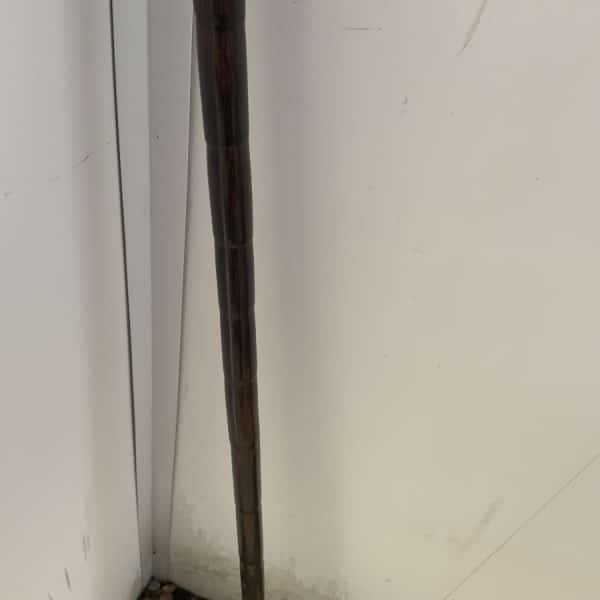 Gentleman’s Partridge wood walking stick sword stick Miscellaneous 13