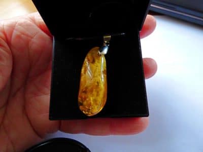 Genuine Baltic Amber Pendant (5098) Amber Antique Collectibles 3