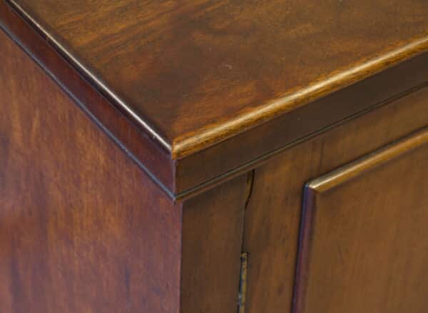 A late Victorian mahogany two door cupboard - Image 7