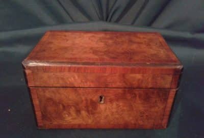 Georgian burr walnut tea caddy Antiques Scotland Miscellaneous 3