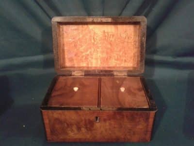 Georgian burr walnut tea caddy Antiques Scotland Miscellaneous 4