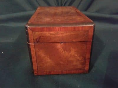 Georgian burr walnut tea caddy Antiques Scotland Miscellaneous 5