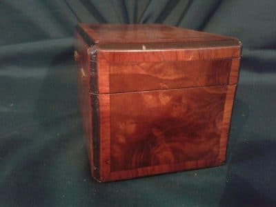 Georgian burr walnut tea caddy Antiques Scotland Miscellaneous 7