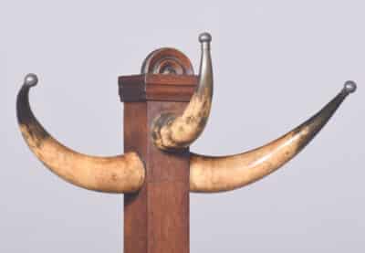 Decorative and Rare Victorian Cow Horn (Bos Taurus) Coat Stand coat stand Miscellaneous 4