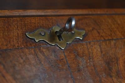 Edwardian Walnut Writing Bureau SAI3164 - Image 8