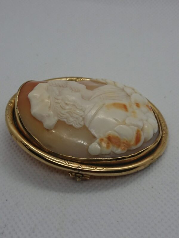 Victorian Cameo Brooch antique cameo brooch Antique Jewellery 4