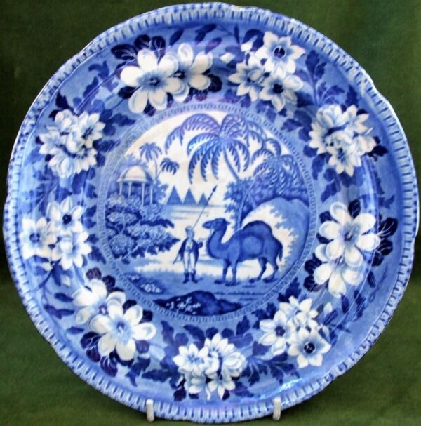 Dromedary Plate