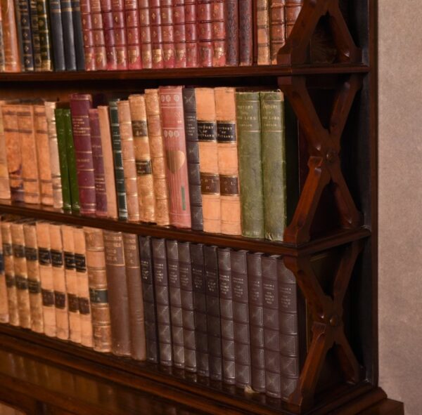 Superb Victorian Rosewood Bookcase SAI1365 - Image 7