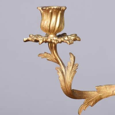 Pair of Exquisite French Ormolu (Gold Covered Bronze) Two Branch Candlesticks of Rococo Style Antique Lighting 6