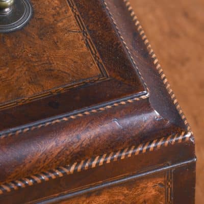 Exhibition Quality George III Burr Walnut Tea Caddy of Casket Form - Image 4