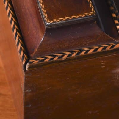 George III Flame Mahogany, Parquetry Inlaid Tea Caddy of Casket Form - Image 8