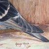 Pigeon Watercolour Painting Jubilee Winner - Image 6