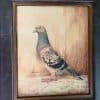 Pigeon Watercolour Painting Jubilee Winner - Image 5