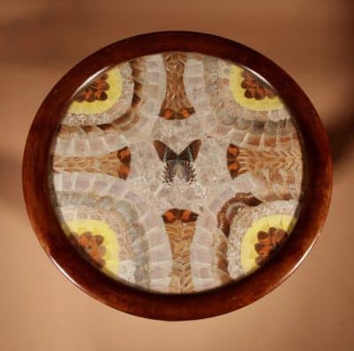 A Brazilian Butterfly Table, Circa 1900-20 butterfly Antique Tables 4