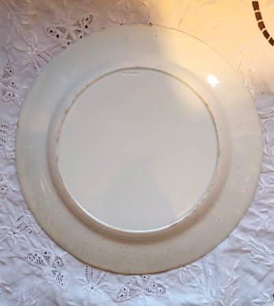 Rogers Zebra Plate 3b