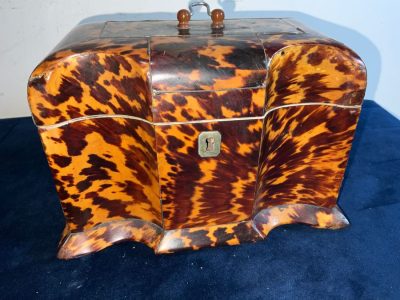 Tortoise Shell Tea Caddy