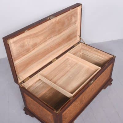 Qing Dynasty Teak, Camphor & Burr-Elm Kist Antique Coffers 10