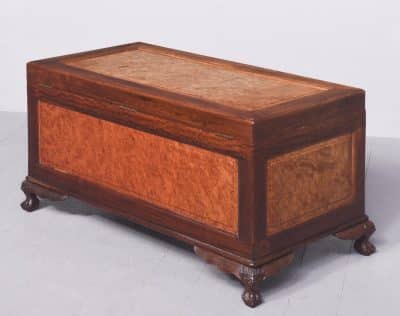 Qing Dynasty Teak, Camphor & Burr-Elm Kist Antique Coffers 11