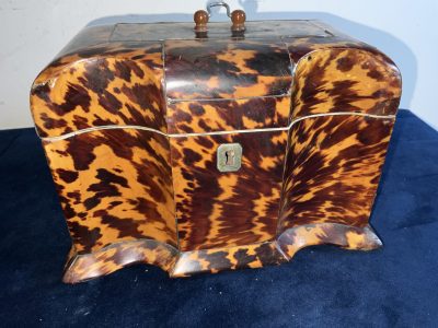 Tortoise Shell Tea Caddy Antique Boxes 17