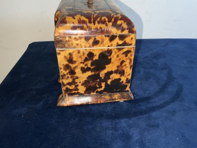 Tortoise Shell Tea Caddy Antique Boxes 5