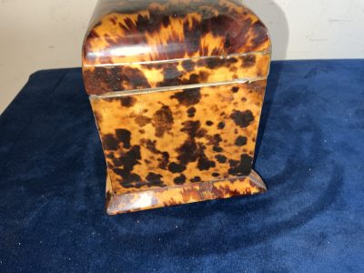 Tortoise Shell Tea Caddy Antique Boxes 7