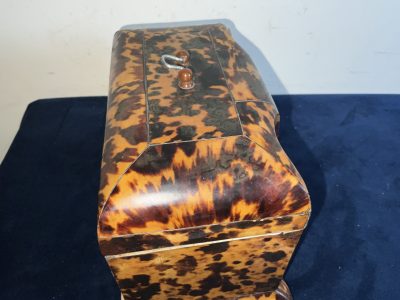 Tortoise Shell Tea Caddy Antique Boxes 8