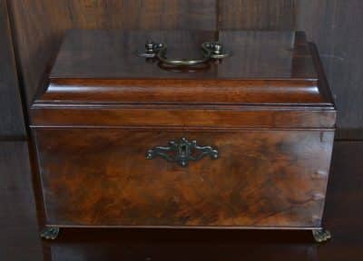 Georgian Mahogany Storage Box SAI3215 Antique Boxes 11