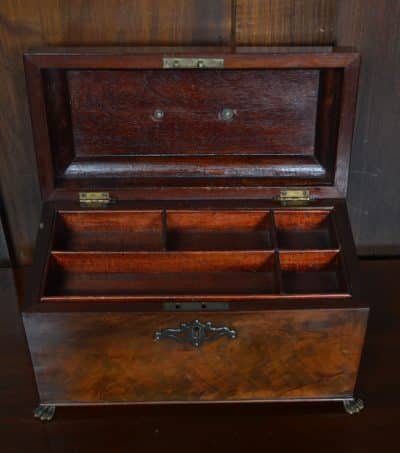 Georgian Mahogany Storage Box SAI3215 Antique Boxes 3