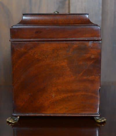 Georgian Mahogany Storage Box SAI3215 Antique Boxes 6