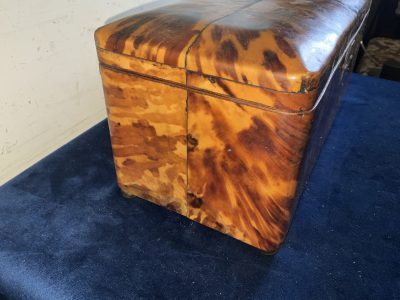 Tortoise Shell tea caddy Antique Boxes 5