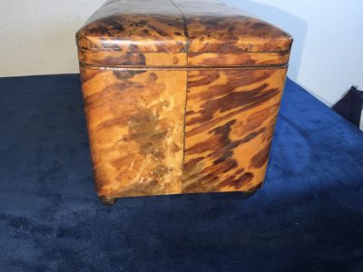 Tortoise Shell tea caddy Antique Boxes 6