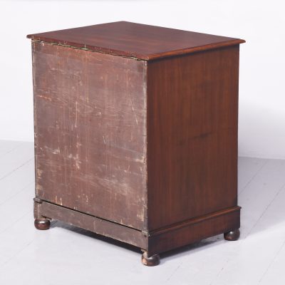 William IV Neat-Sized Mahogany Cellarette in The Form of a Chest of Drawers Miscellaneous 9