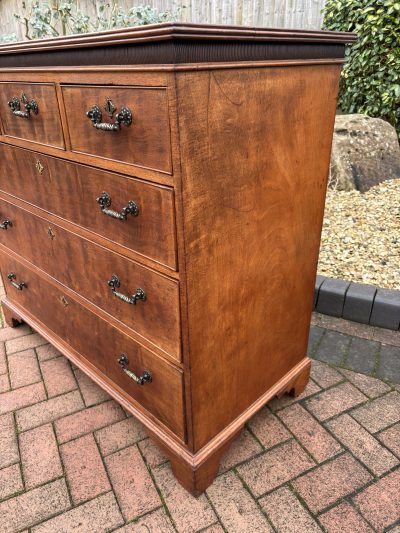 Gothic Revival Mahogany Chest of Drawers 19th century Antique Chest Of Drawers 6