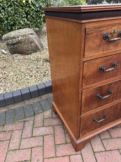 Gothic Revival Mahogany Chest of Drawers 19th century Antique Chest Of Drawers 7