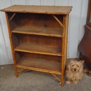 Small Antique 1920’s Bamboo Bookcase 20th century Antique Bookcases