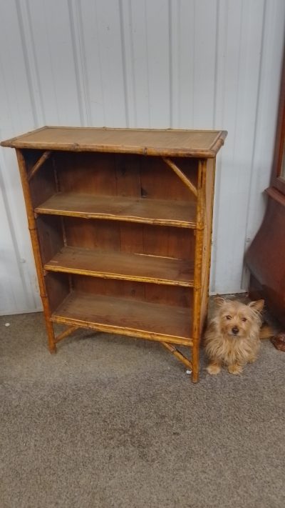 Small Antique 1920's Bamboo Bookcase