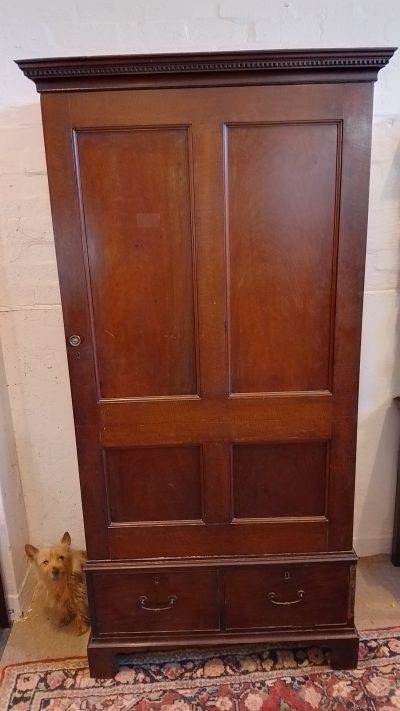 Small Antique Single Door Wardrobe