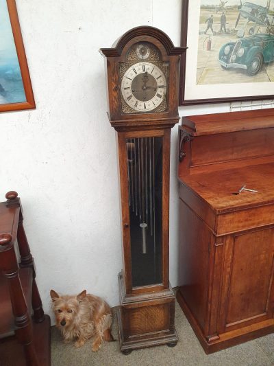 Good Antique 1920's Oak Chiming Grandmother Clock